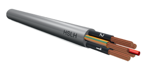 HSLH